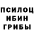 Ecstasy ешки Vovchik BS