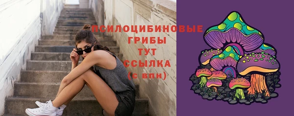 твердый Богданович
