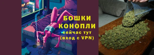 твердый Богданович