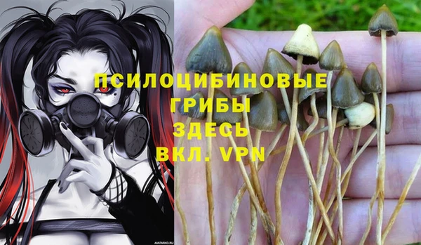 твердый Богданович