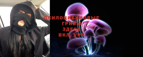 метадон Богородицк