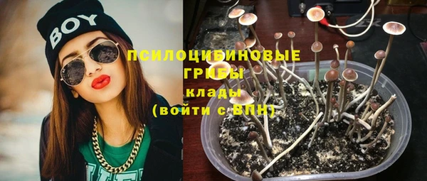 ГАЛЛЮЦИНОГЕННЫЕ ГРИБЫ Богородск